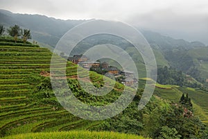 Views of green Longji terraced fields and Dazhai village