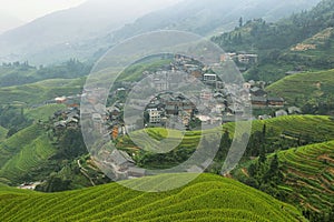 Views of green Longji terraced fields and Pingan village