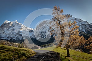 Lovely mountains of Grindelwald photo