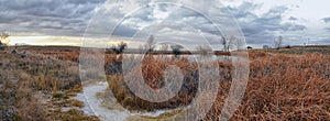 Views of Joshâ€™s Pond walking path, Reflecting Sunset in Broomfield Colorado surrounded by Cattails, plains and Rocky mountain la