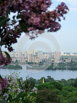 Views of Kiev from botanical garden