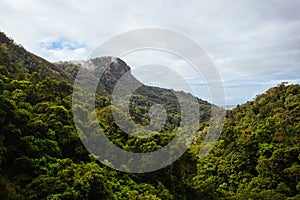 Views from Kuranda Scenic Railway in Australia