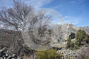 Views of La Cabrera Range