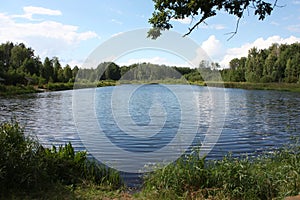 Views of lake in Bialowieza National Park