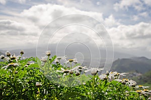 Views of the landscape of the Anaga Rural Park, in Santa Cruz de Tenerife. Canary Islands. Spain photo