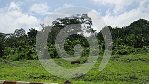 Views of life in Malabo, Equatorial Guinea.