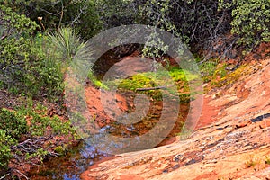 Views from the Lower Sand Cove trail to the Vortex formation, by Snow Canyon State Park in the Red Cliffs National Conservation Ar photo