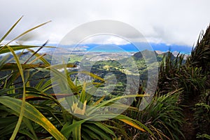 Views from Mount Olympus, Oahu