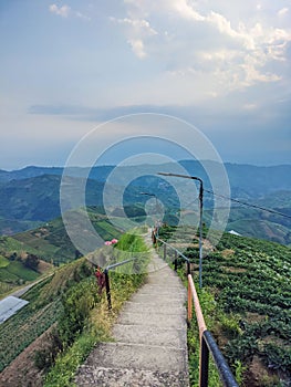 views, mountains, hills, stairs, plantations