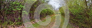 Views of Nature and Pathways along the Shelby Bottoms Greenway and Natural Area Cumberland River frontage trails, bottomland hardw