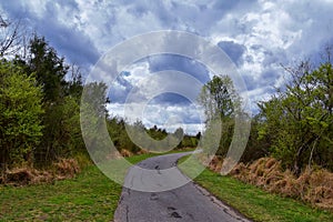 Views of Nature and Pathways along the Shelby Bottoms Greenway and Natural Area Cumberland River frontage trails, bottomland hardw