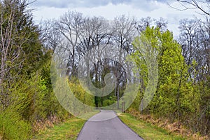 Views of Nature and Pathways along the Shelby Bottoms Greenway and Natural Area Cumberland River frontage trails, bottomland hardw