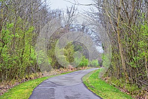 Views of Nature and Pathways along the Shelby Bottoms Greenway and Natural Area Cumberland River frontage trails, bottomland hardw