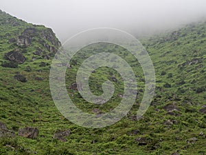 Views of the nature reserve Lomas de Lucumo photo