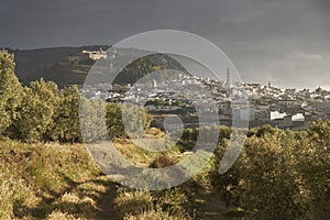 Views from an olive grove of the city of Estepa. Spain photo