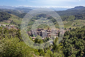 Views of olive trees surrounding Vilella Baixa village in Priorat area, Catalonia, Spain