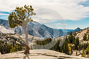 Views from Olmsted Point of the natural environment of Yosemite National Park with the Half Dome in the background