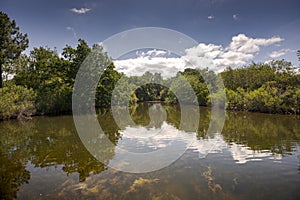 Views of the Ornithological Reserve of Teich