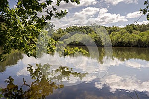 Views of the Ornithological Reserve of Teich