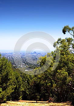 Views overlooking Adelaide city framed by trees and Australian bushland.