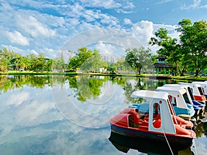 Views of the pond in the park At Somdej Phra Srinakarin Park Pattani Province, Thailand