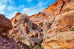 Views from Red Rock Canyon, Nevada