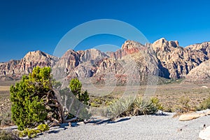 Views from Red Rock Canyon, Nevada