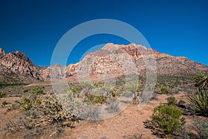 Views from Red Rock Canyon, Nevada