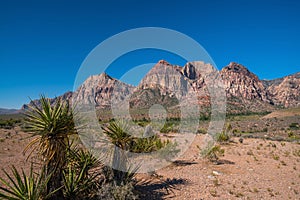 Views from Red Rock Canyon, Nevada