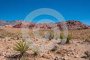 Views from Red Rock Canyon, Nevada