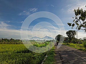 views of rice fields with a beautiful and fres mountain background