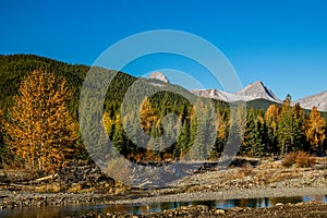 Views from the roadside during a drive through the park. Peter Lougheed Provincial Park