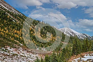 Views from the roadside during a drive through the park. Peter Lougheed Provincial Park