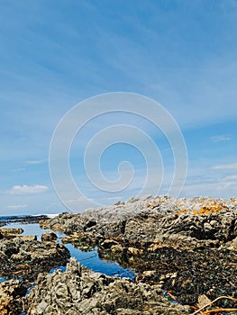 Views from the rockpools South Africa