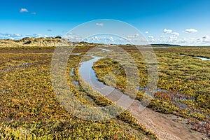 Views of salt marshes, from Norfolk Coast path National Trail near Burnham Overy Staithe