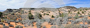 Views of sandstone and lava rock mountains and desert plants around the Red Cliffs National Conservation Area on the Yellow Knolls