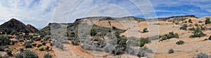 Views of sandstone and lava rock mountains and desert plants around the Red Cliffs National Conservation Area on the Yellow Knolls