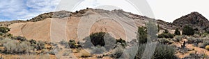 Views of sandstone and lava rock mountains and desert plants around the Red Cliffs National Conservation Area on the Yellow Knolls