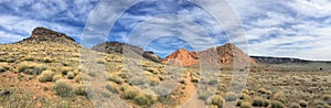 Views of sandstone and lava rock mountains and desert plants around the Red Cliffs National Conservation Area on the Yellow Knolls