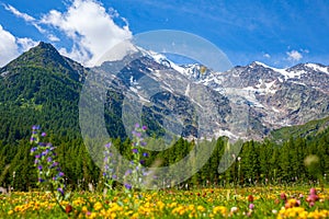 Views from Simplon Pass of Swiss Alps landscape in summer