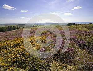 Views from thomas hardy monument dorset england