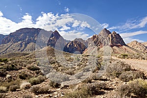 Late Night Trail, Mustang Loop, Red Rock Conservation Area, Southern Nevada, USA