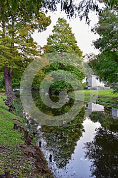 Views of trees and unique nature aspects surrounding New Orleans, including reflecting pools in cemeteries and the Garden District photo