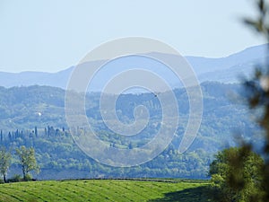 Views of the Tuscan hills