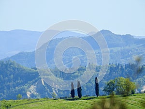 Views of the Tuscan hills