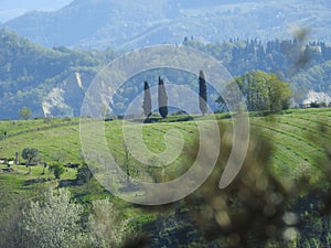 Views of Tuscany photo