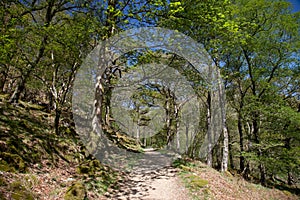 Views up the Watkins Path