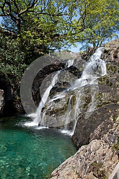 Views up the Watkins Path