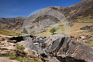 Views up the Watkins Path