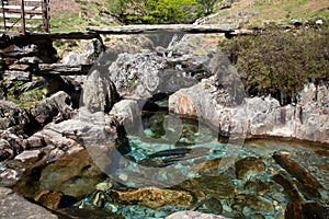 Views up the Watkins Path